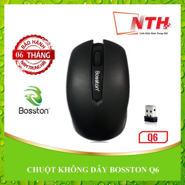 chuot-ko-day-bosston-vision-q6