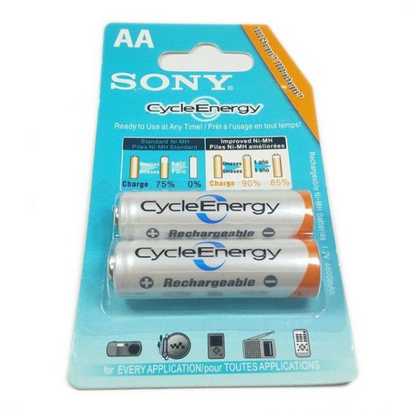 pinsac-sony-cycleenergy-2a_1