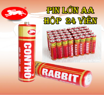 pin-con-tho-aa-lon-hop-24-vien